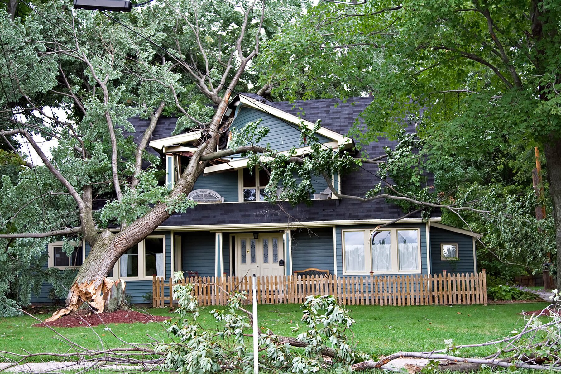 Storm Damage by Emerald Roofing using Tree impact damage